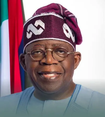 Tinubu backs Nigerian firm's 20-year African customs modernisation deal