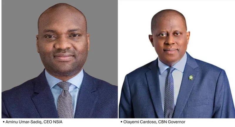 NSIA Leads Nigeria's Carbon Market Development Efforts