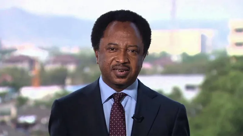 Shehu Sani cautions North against 2027 power shift