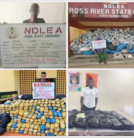 NDLEA Rearrests 83-Year-Old Uloma Uchechi for Drugs