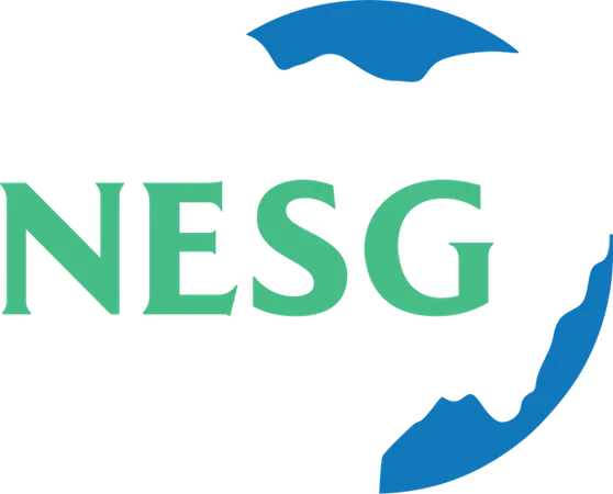 NESG Identifies Insecurity as Key Barrier to Growth