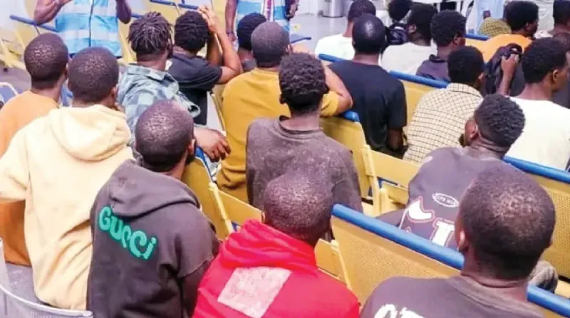 NAPTIP Coordinates Rescue of 119 Nigerians from Cybercrime