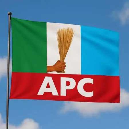 Court Declares Mandung Winner of APC Primary for Jos South