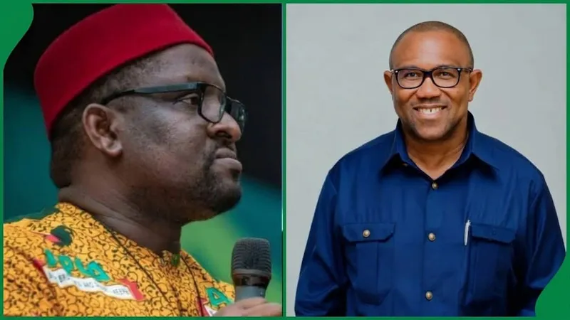 APGA's Ezeokenwa Claims No Victory Path for Obi in 2027