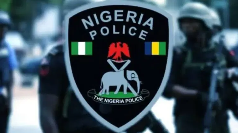 Kwara Police Arrest Brothers for Exhuming Human Heads