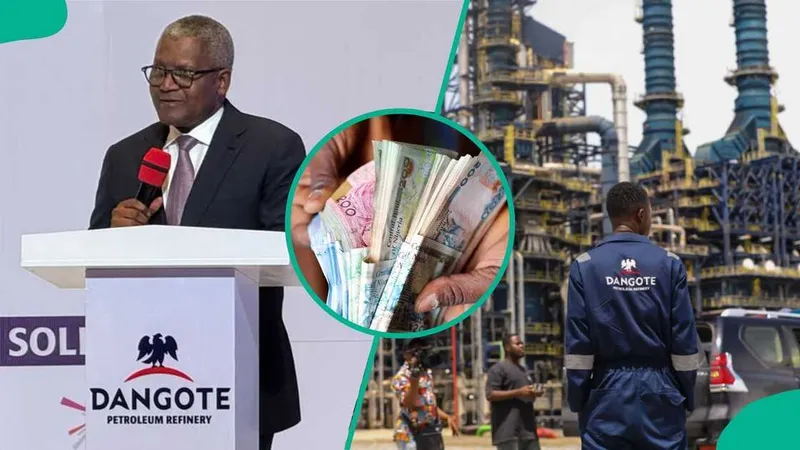 Dangote Group Prioritizes Small Investors in IPO Initiative