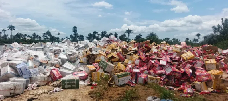 NAFDAC Destroys N2.6 Billion in Fake Drugs and Foods