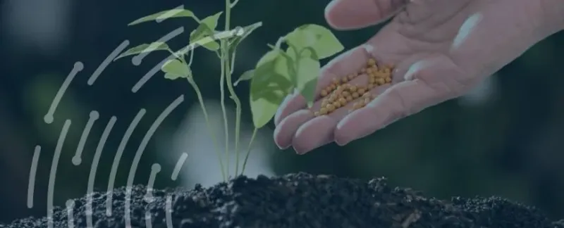 WACOT Limited and Edo State Renew Fertiliser Production Deal
