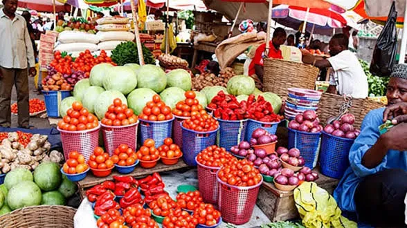 Abuja Stakeholders Promote Local Seed Production Initiative