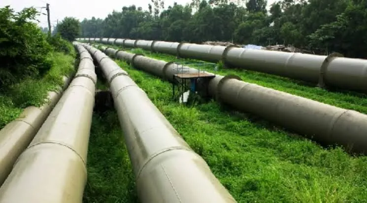 Civil Society Group Seeks Suspension of PINL Contract