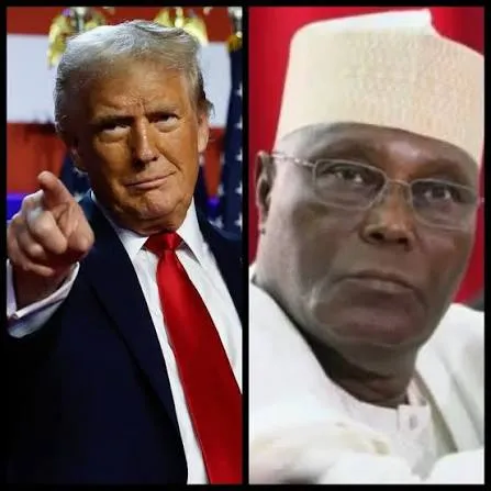 Timi Frank Appeals to Trump Over Threats to Atiku's Safety