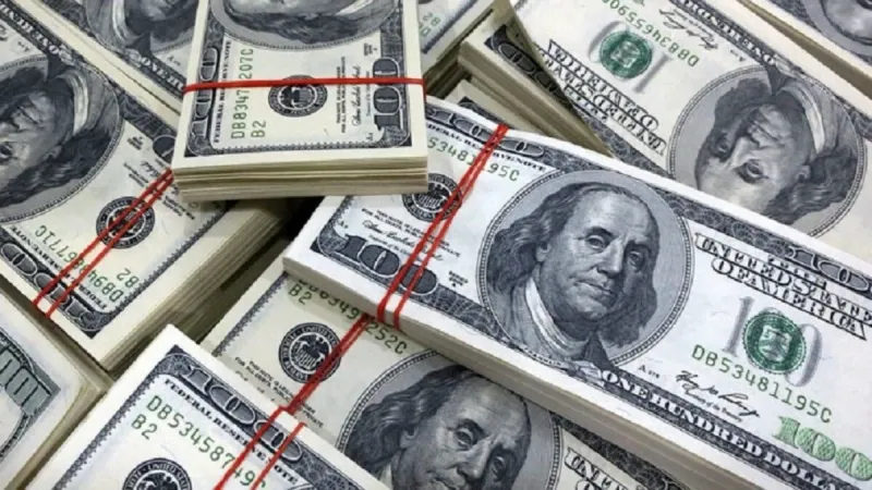 Nigeria's Dollar Trading Drops 22% Amid Forward Deal Decline