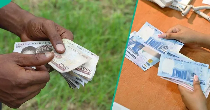 World Bank Urges Nigeria to Enhance Cash Transfer Program