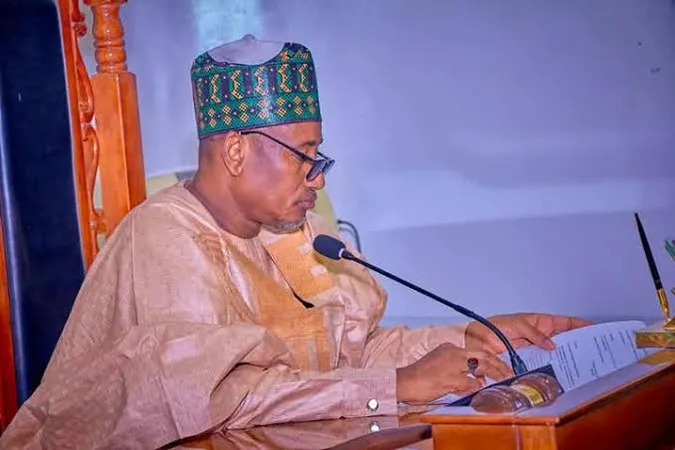 Kaduna and Yobe Assemblies Approve State Police Service