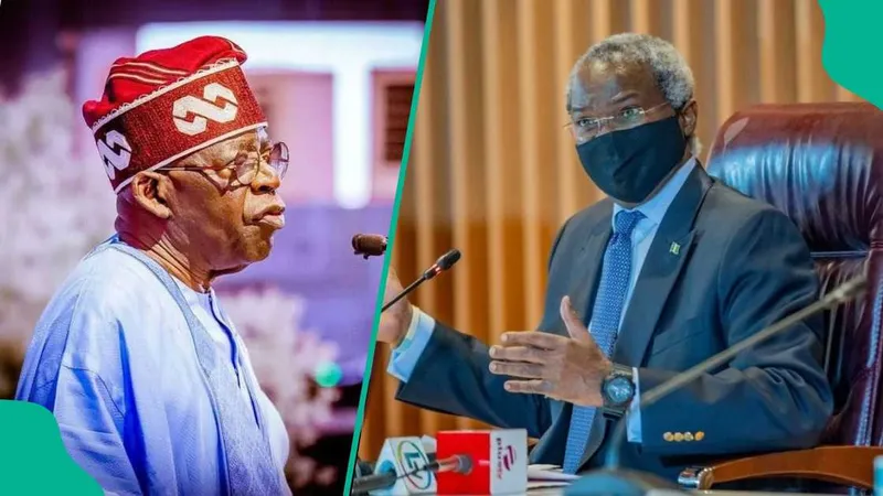 Akande Claims Fashola Excluded from Tinubu's Cabinet