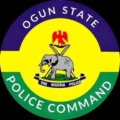 Ogun Butcher Selim Ayodele Arrested for Colleague's Murder