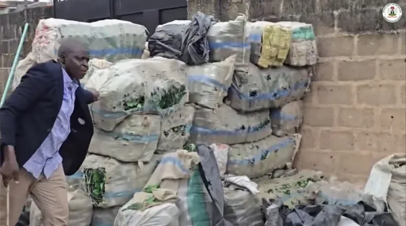 NAFDAC Dismantles Counterfeit Alcohol Operation in Lagos