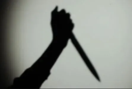 Butcher Selim Ayodele Kills Colleague Over Cleaning Dispute