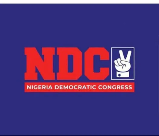 NDC to Launch Campaign Council and New Secretariat