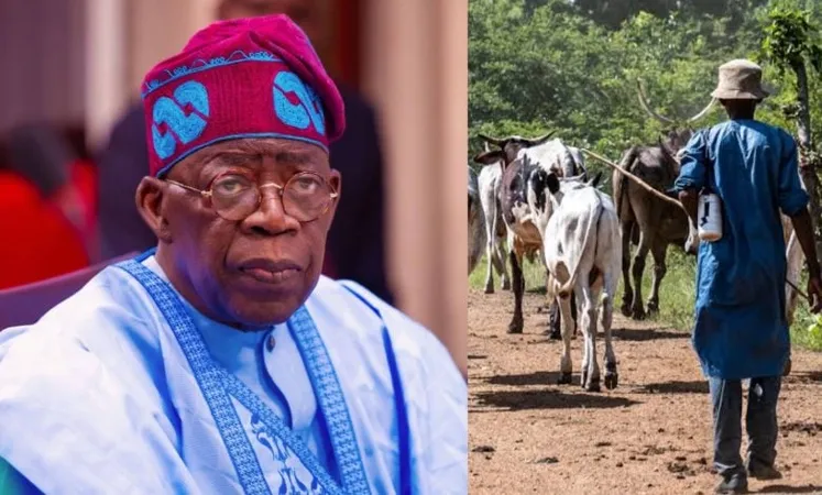 Fulani Leaders Demand 30% Agricultural Budget for Livestock