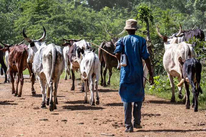 Fulani Leaders Demand 30% Budget for Livestock Ministry