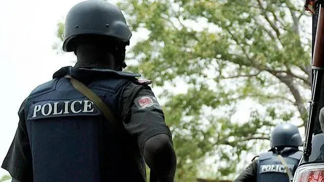 Anambra Police Arrest Udochukwu Okafor for Armed Robbery