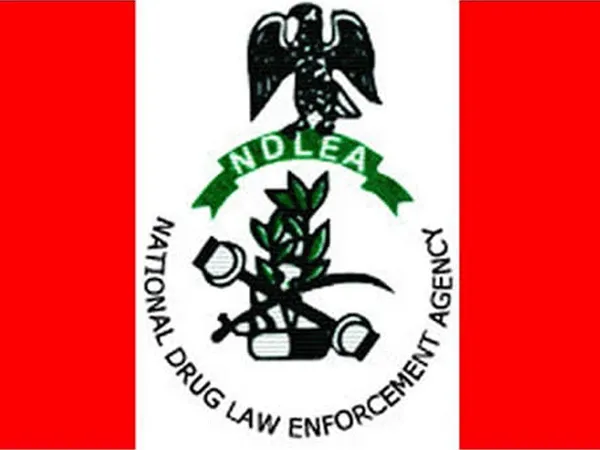 NDLEA Confirms No Fees for Drug Integrity Test in Recruitment