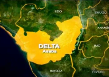 Fidelity Bank Empowers 500 Women with N20m Initiative