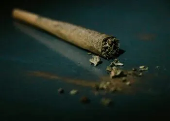 Older Adults Turn to Cannabis for Pain and Sleep Relief