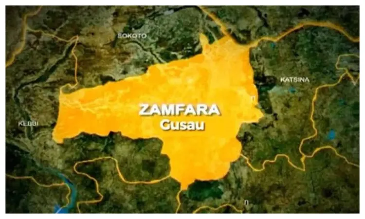 Study Reveals Cholera Cases in Zamfara's LGAs
