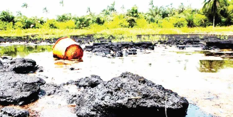 Urgent Call for Niger Delta Cleanup Beyond Ogoniland