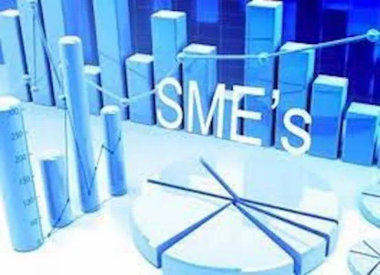 SMEs in Africa Face Collapse Without Strong Structures