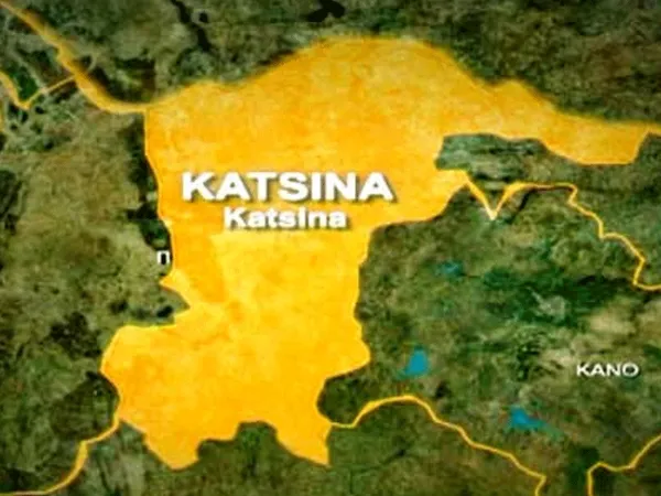 Katsina Invests N1.7bn to Combat Child Malnutrition