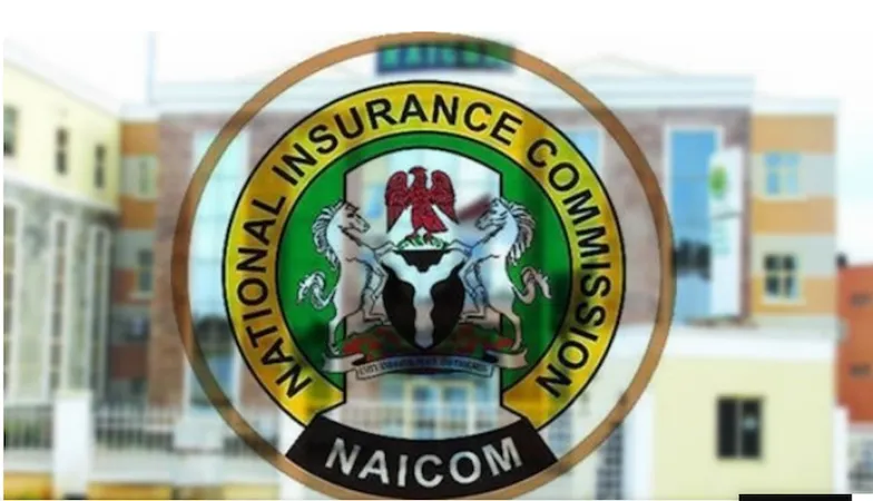 NAICOM Licenses NetApp to Boost Insurance Access in Nigeria