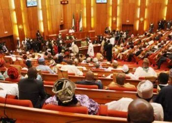 Nigerian Senate Advances Bill for E-Health Services