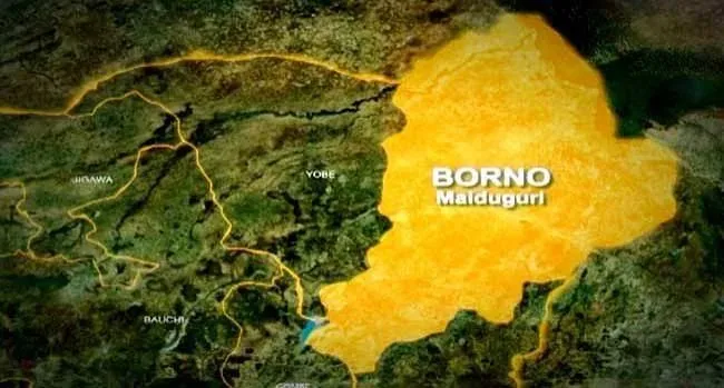 Borno Commissioner Shares Video of Abducted Students