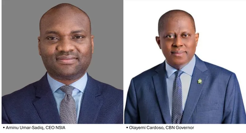 NSIA Leads Nigeria's Carbon Market Development Efforts