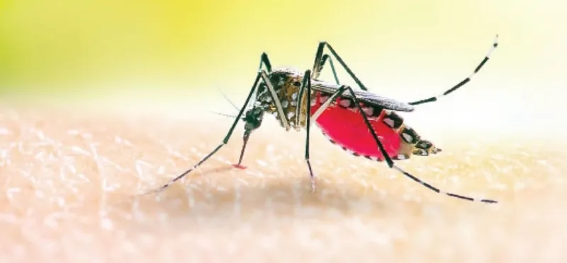Malaria Consortium Urges Oyo to Boost Elimination Efforts
