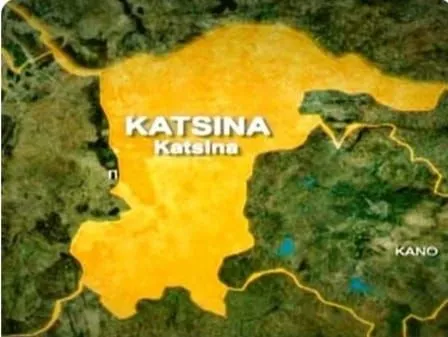 Katsina Government Enhances TSA to Curb Financial Leakages