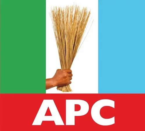 APC Launches Grassroots Campaign for Tinubu's 2027 Re-election