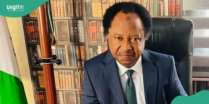 Shehu Sani Calls for Ex-Players to Lead NFF After Resignation