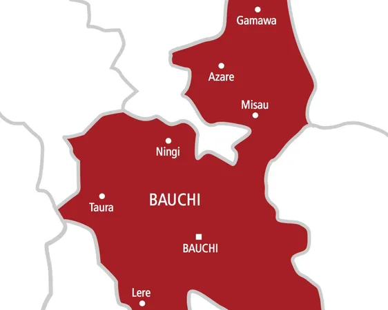 Bauchi's Family Planning Needs Highlighted in New Survey